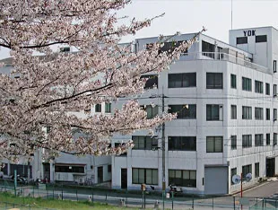 About Us 5 Japanese_Branch